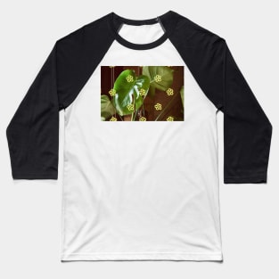 Monstera Deliciosa Baseball T-Shirt